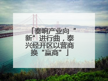 奏响产业向“新”进行曲，泰兴经开区以营商换“赢商”