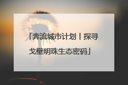 奔流城市计划丨探寻戈壁明珠生态密码