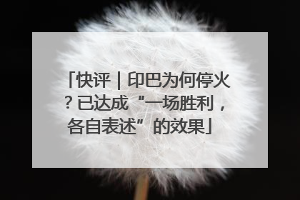 快评｜印巴为何停火？已达成“一场胜利，各自表述”的效果