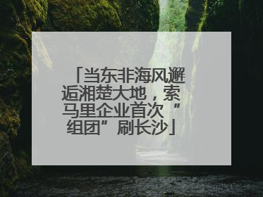 当东非海风邂逅湘楚大地，索马里企业首次“组团”刷长沙