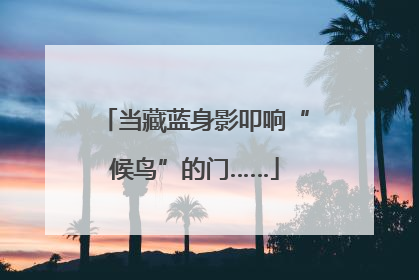 当藏蓝身影叩响“候鸟”的门……