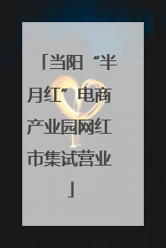 当阳“半月红”电商产业园网红市集试营业