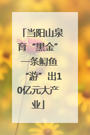 当阳山泉育“黑金” 一条鲟鱼“游”出10亿元大产业