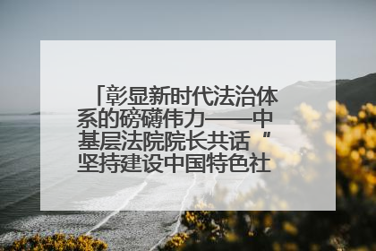 彰显新时代法治体系的磅礴伟力——中基层法院院长共话“坚持建设中国特色社会主义法治体系”
