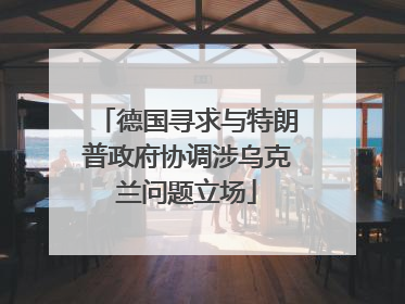 德国寻求与特朗普政府协调涉乌克兰问题立场