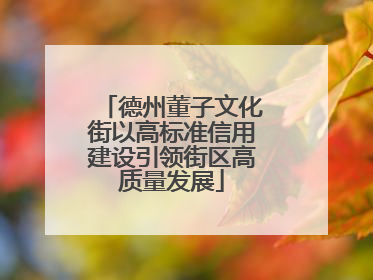 德州董子文化街以高标准信用建设引领街区高质量发展