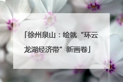 徐州泉山：绘就“环云龙湖经济带”新画卷