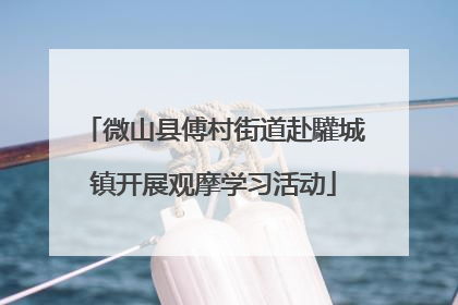 微山县傅村街道赴驩城镇开展观摩学习活动