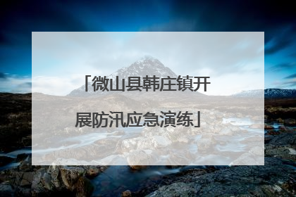 微山县韩庄镇开展防汛应急演练