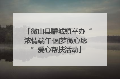 微山县驩城镇举办“浓情端午·圆梦微心愿”爱心帮扶活动