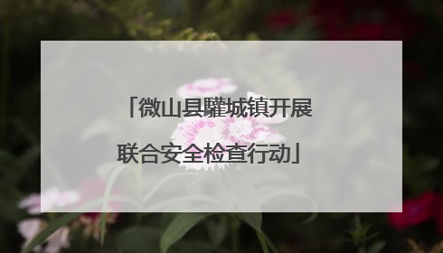 微山县驩城镇开展联合安全检查行动