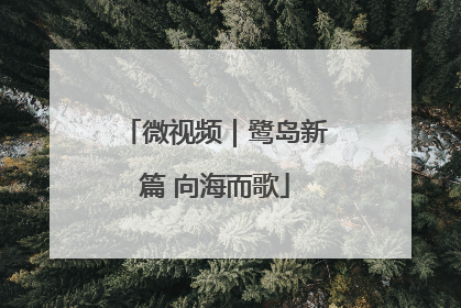 微视频｜鹭岛新篇 向海而歌