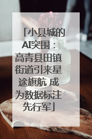 小县城的AI突围：高青县田镇街道引来星途旗航 成为数据标注先行军