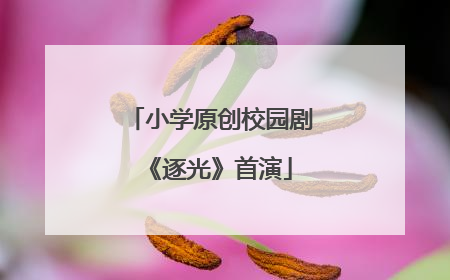 小学原创校园剧《逐光》首演