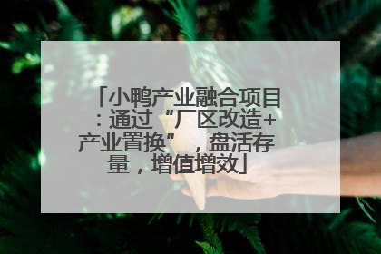 小鸭产业融合项目：通过“厂区改造+产业置换”，盘活存量，增值增效