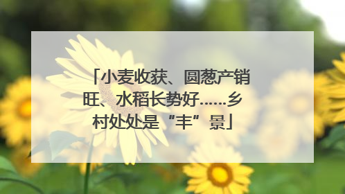 小麦收获、圆葱产销旺、水稻长势好……乡村处处是“丰”景