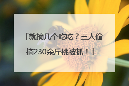 就摘几个吃吃？三人偷摘230余斤桃被抓！