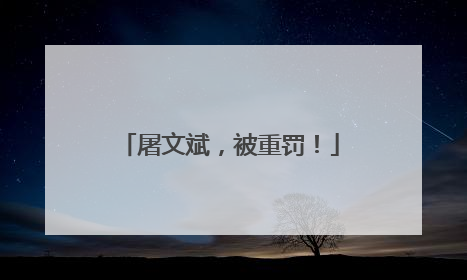 屠文斌，被重罚！