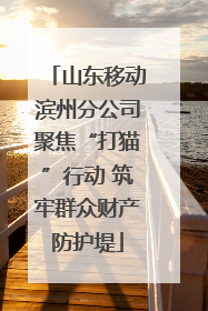 山东移动滨州分公司聚焦“打猫”行动 筑牢群众财产防护堤
