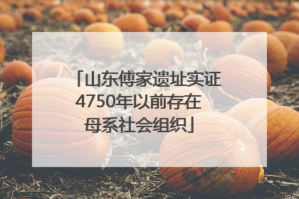 山东傅家遗址实证4750年以前存在母系社会组织