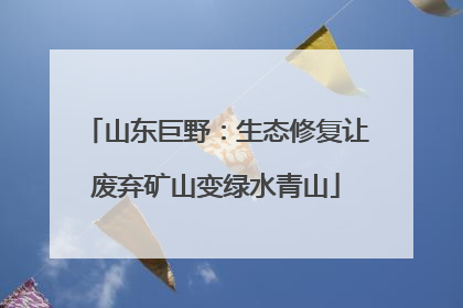 山东巨野：生态修复让废弃矿山变绿水青山