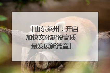 山东莱州：开启加快文化建设高质量发展新篇章