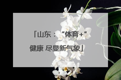 山东：“体育+”健康 尽显新气象