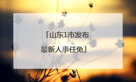 山东1市发布最新人事任免
