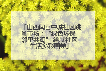 山西闻喜中城社区跳蚤市场：“绿色环保 邻里共淘” 绘就社区生活多彩画卷