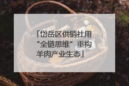 岱岳区供销社用“全链思维”重构羊肉产业生态