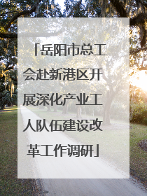 岳阳市总工会赴新港区开展深化产业工人队伍建设改革工作调研