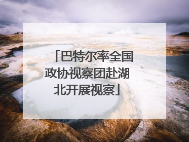 巴特尔率全国政协视察团赴湖北开展视察