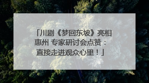 川剧《梦回东坡》亮相惠州 专家研讨会点赞：直接走进观众心里！