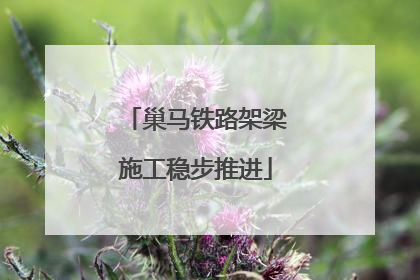 巢马铁路架梁施工稳步推进