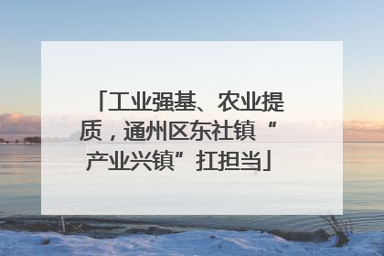 工业强基、农业提质，通州区东社镇“产业兴镇”扛担当