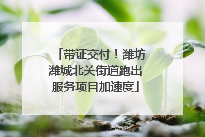 带证交付！潍坊潍城北关街道跑出服务项目加速度