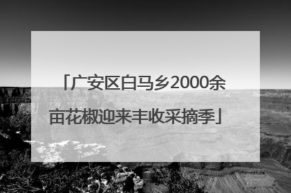 广安区白马乡2000余亩花椒迎来丰收采摘季