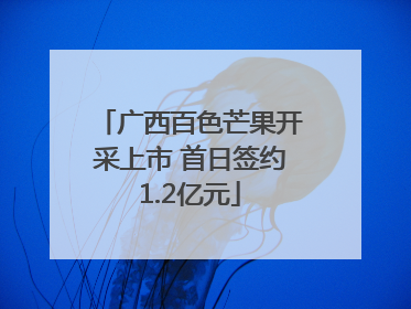 广西百色芒果开采上市 首日签约1.2亿元