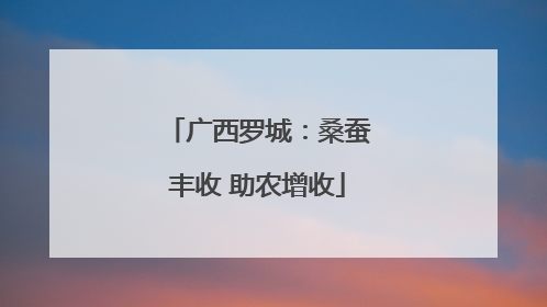 广西罗城：桑蚕丰收 助农增收
