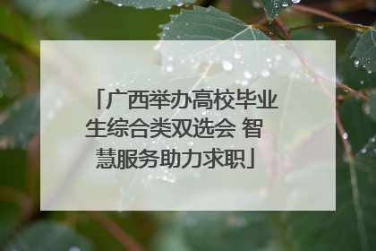 广西举办高校毕业生综合类双选会 智慧服务助力求职