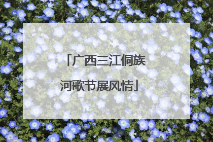 广西三江侗族河歌节展风情