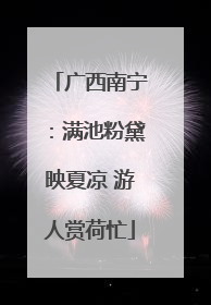 广西南宁：满池粉黛映夏凉 游人赏荷忙