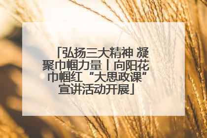 弘扬三大精神 凝聚巾帼力量丨向阳花巾帼红“大思政课”宣讲活动开展