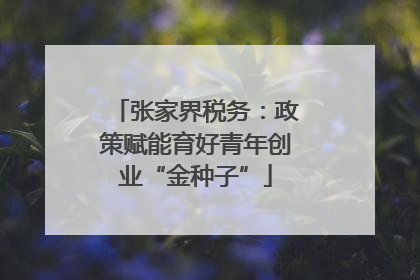 张家界税务：政策赋能育好青年创业“金种子”