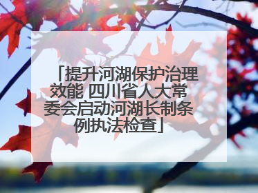 提升河湖保护治理效能 四川省人大常委会启动河湖长制条例执法检查