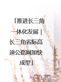 推进长三角一体化发展｜长三角省际高速公路网加快成型