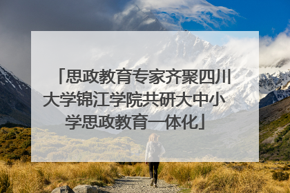 思政教育专家齐聚四川大学锦江学院共研大中小学思政教育一体化