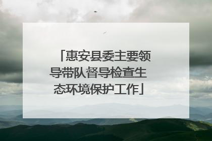 惠安县委主要领导带队督导检查生态环境保护工作