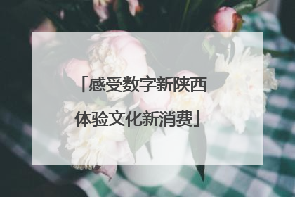 感受数字新陕西 体验文化新消费
