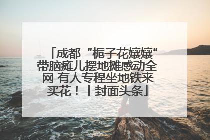 成都“栀子花孃孃”带脑瘫儿摆地摊感动全网 有人专程坐地铁来买花！丨封面头条